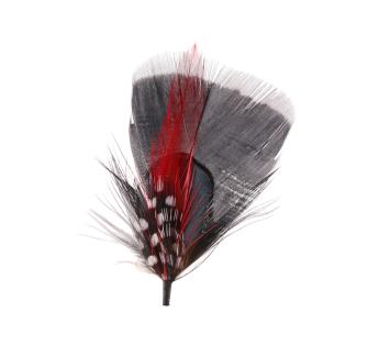 Plumes pour chapeau Hat Feather